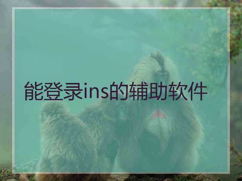 能登录ins的辅助软件