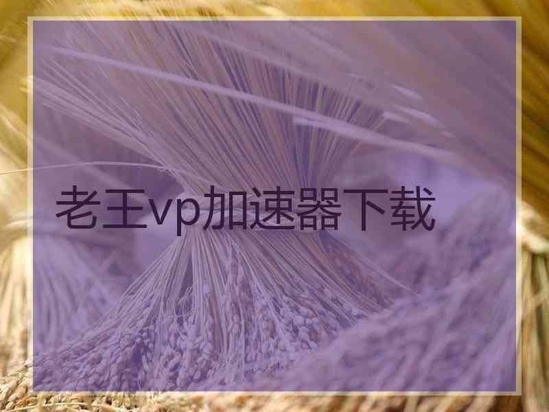 老王vp加速器下载