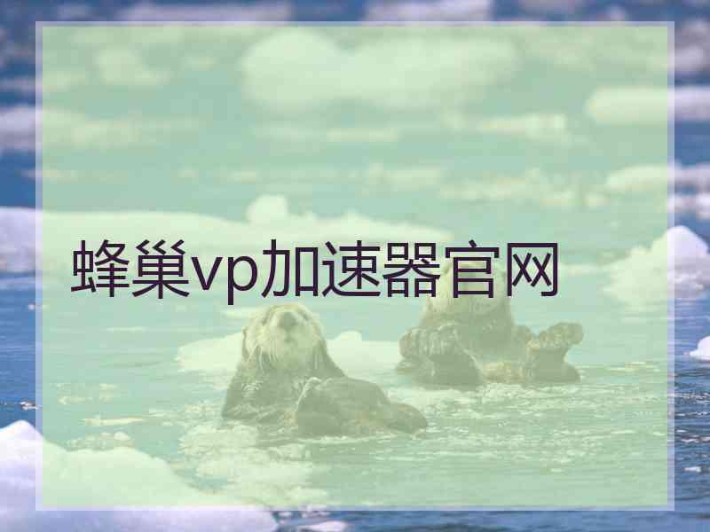 蜂巢vp加速器官网