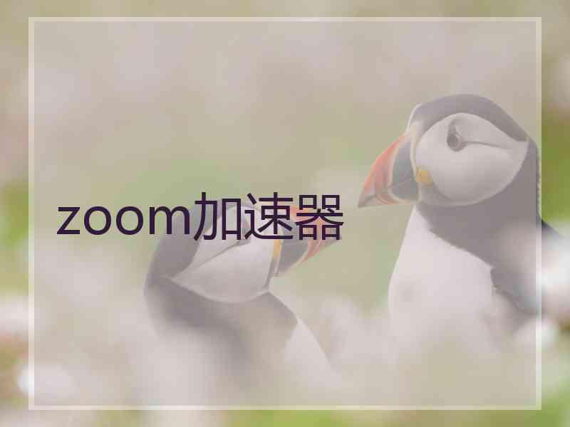 zoom加速器