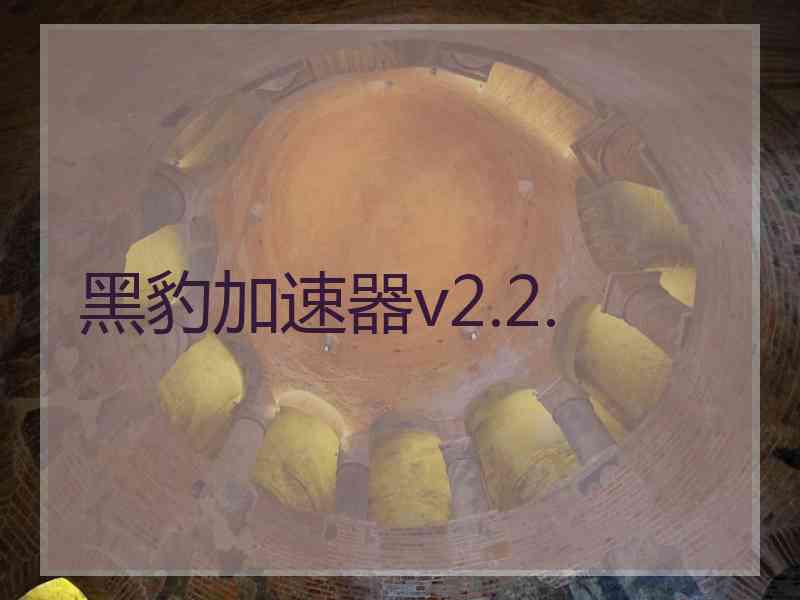 黑豹加速器v2.2.