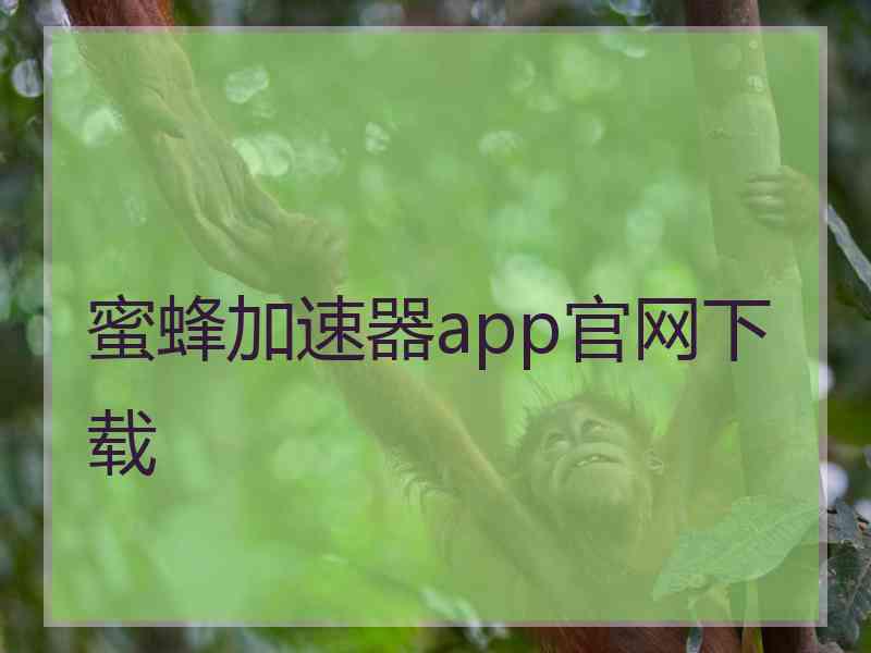 蜜蜂加速器app官网下载