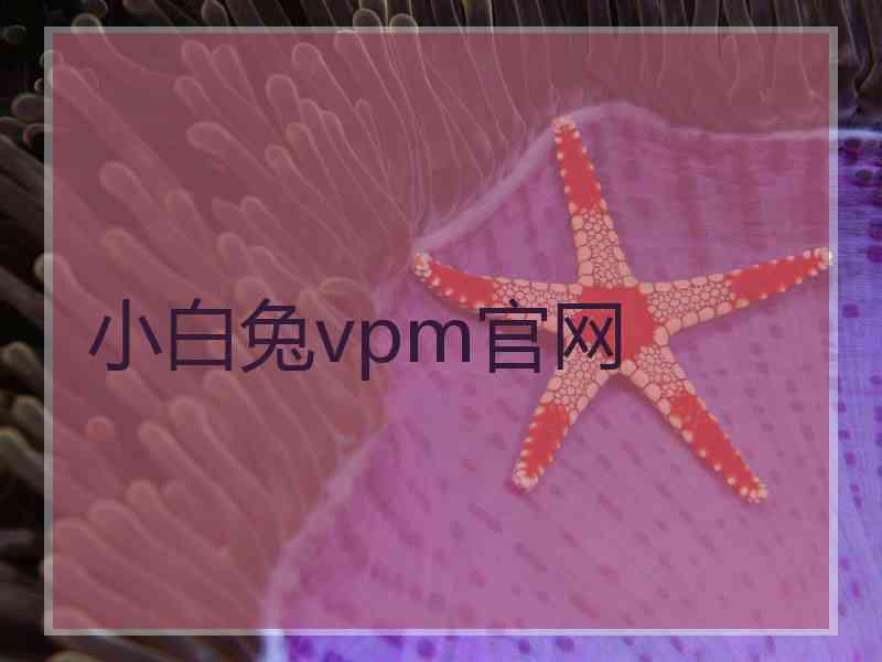 小白兔vpm官网