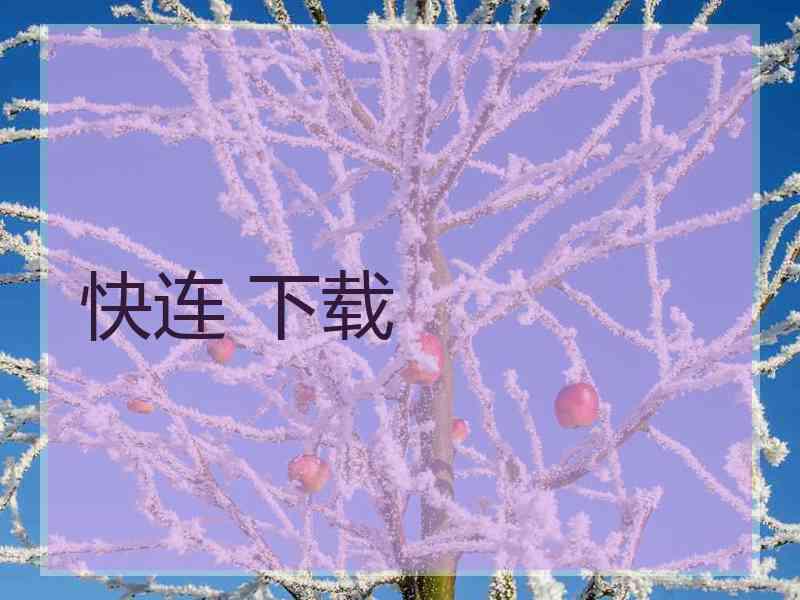 快连 下载