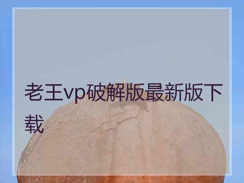 老王vp破解版最新版下载