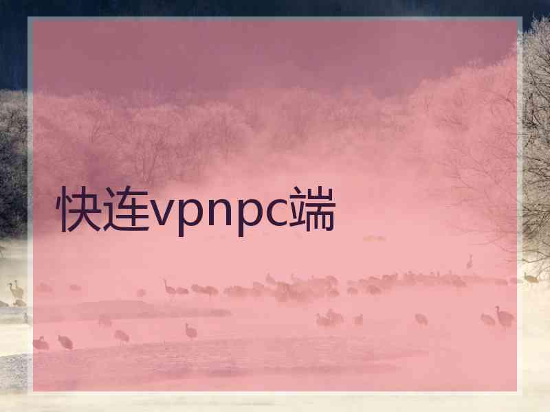 快连vpnpc端