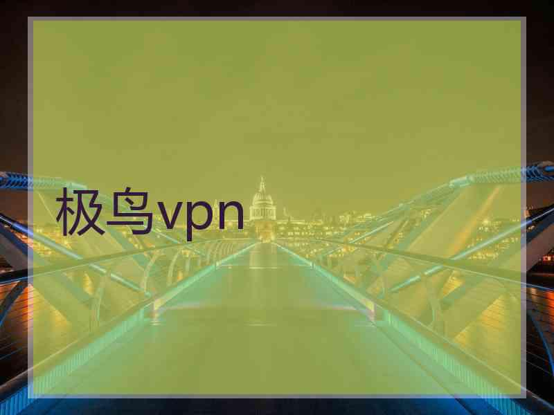 极鸟vpn