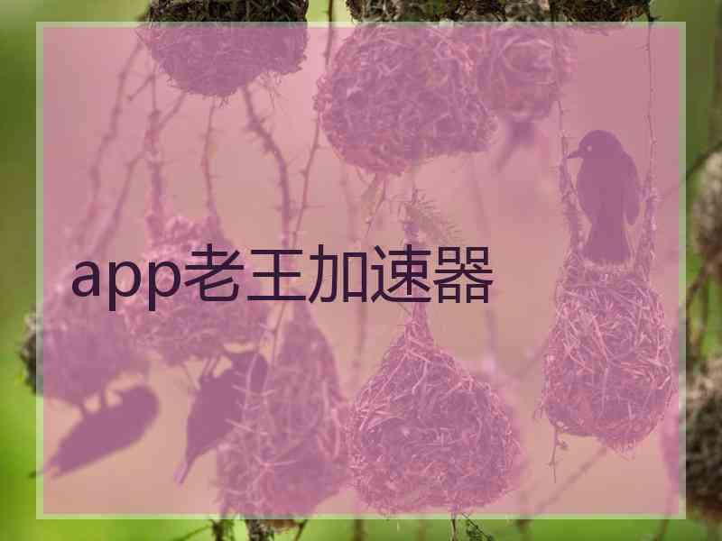 app老王加速器