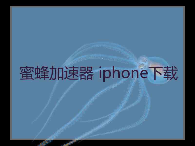 蜜蜂加速器 iphone下载