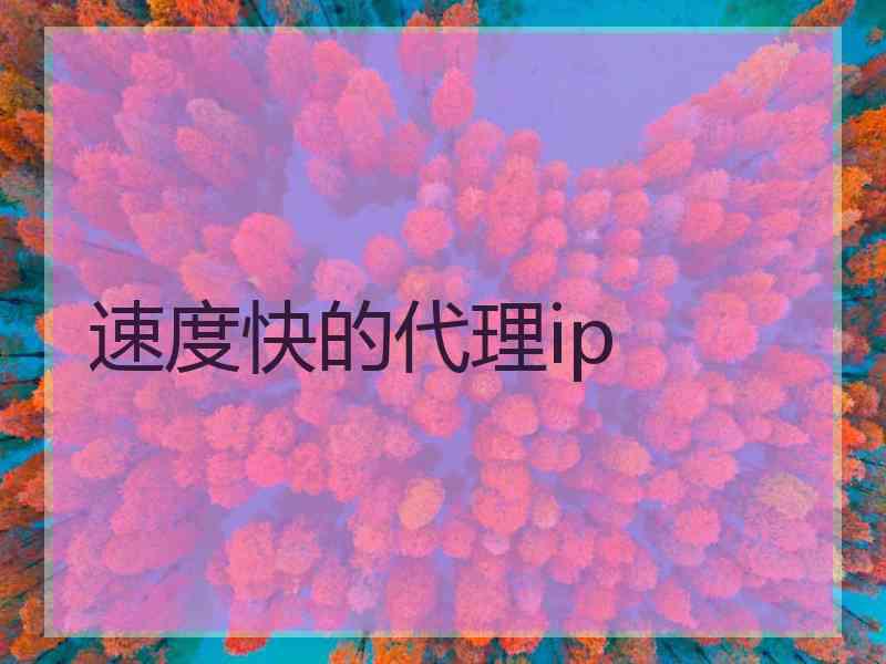 速度快的代理ip