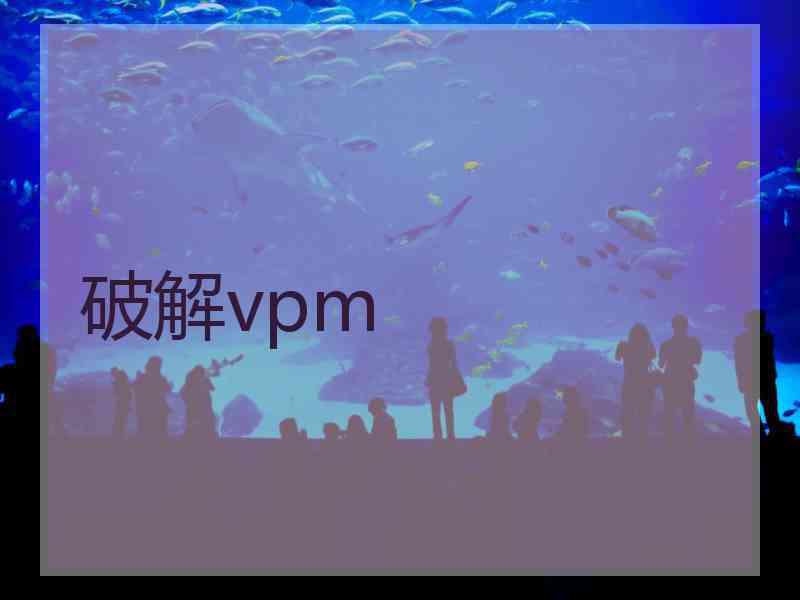 破解vpm