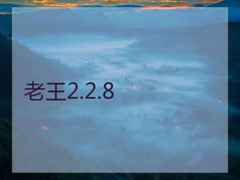 老王2.2.8