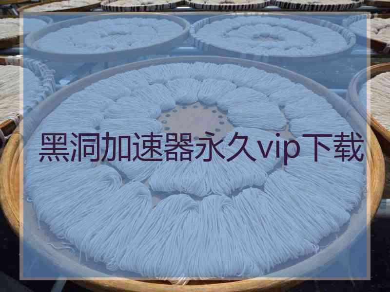 黑洞加速器永久vip下载