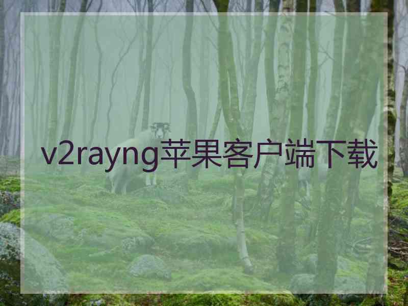 v2rayng苹果客户端下载