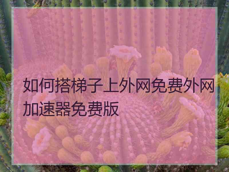 如何搭梯子上外网免费外网加速器免费版