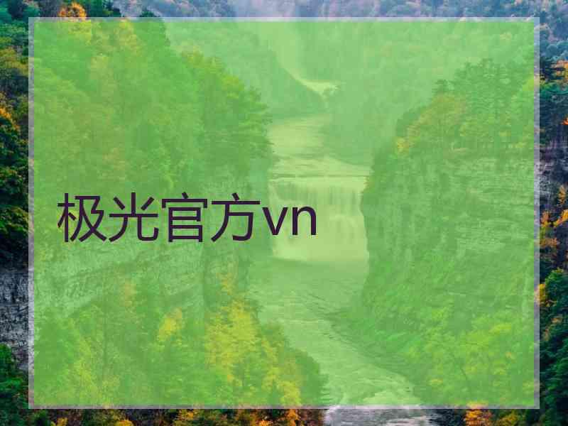 极光官方vn