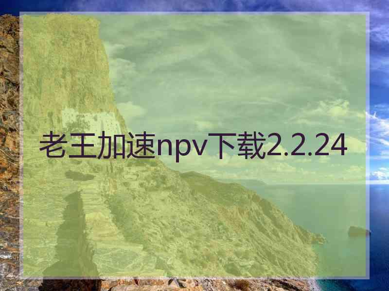 老王加速npv下载2.2.24