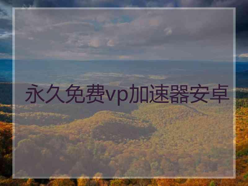 永久免费vp加速器安卓