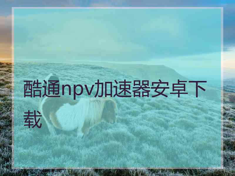 酷通npv加速器安卓下载