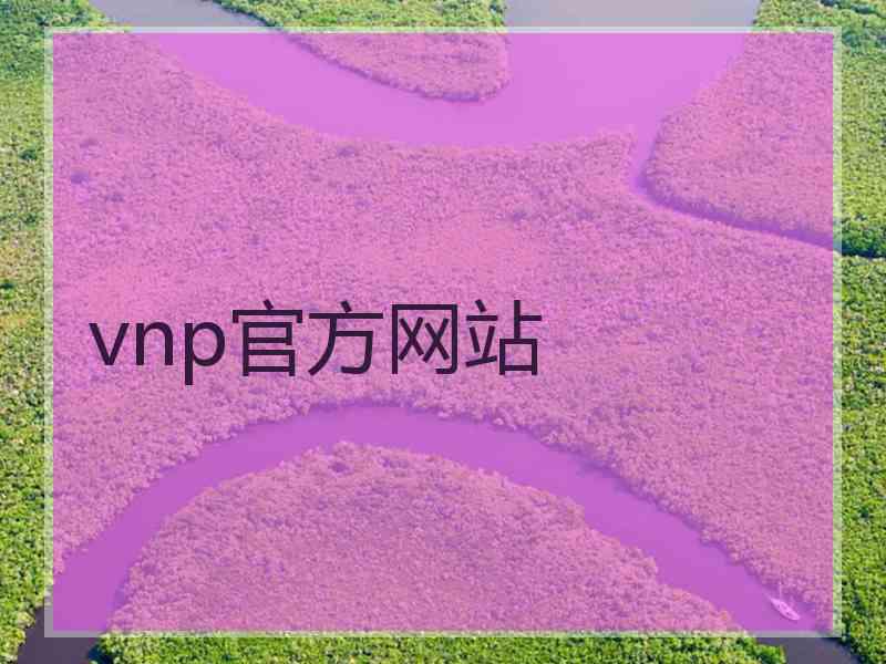 vnp官方网站