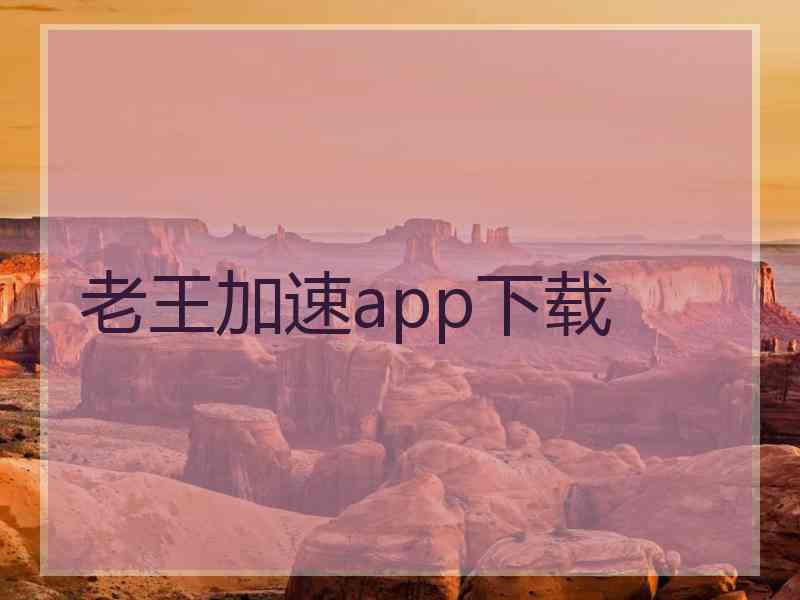 老王加速app下载