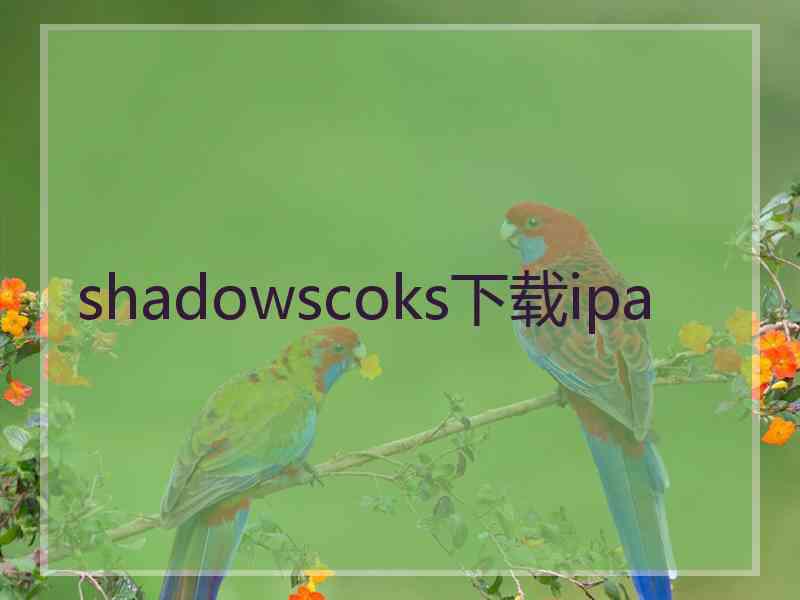 shadowscoks下载ipa