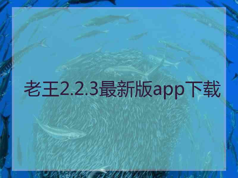 老王2.2.3最新版app下载