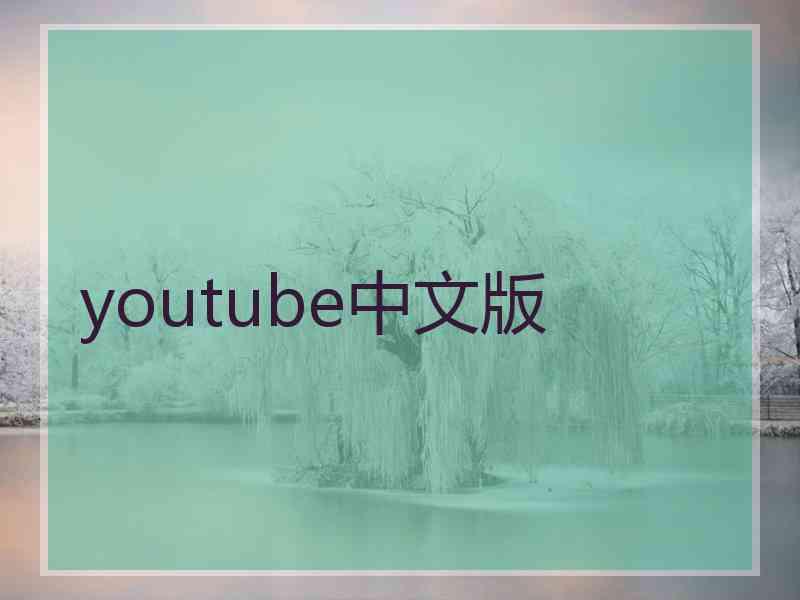 youtube中文版