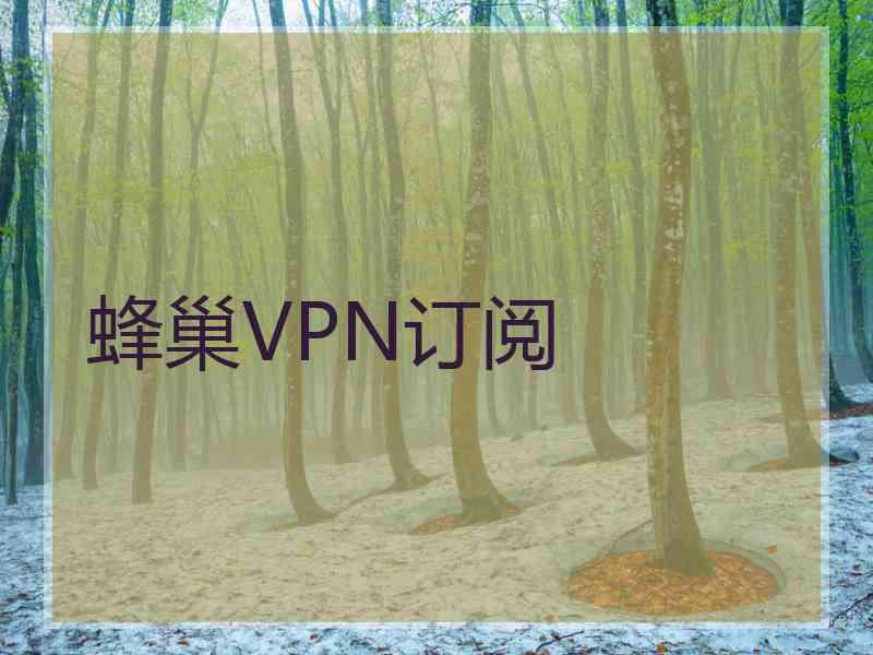 蜂巢VPN订阅