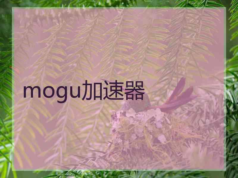 mogu加速器