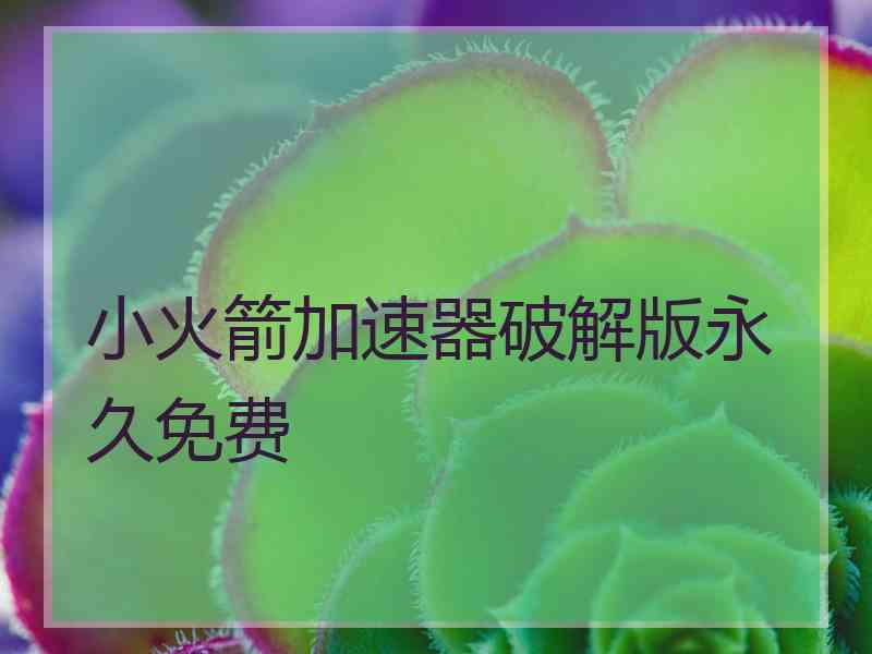 小火箭加速器破解版永久免费