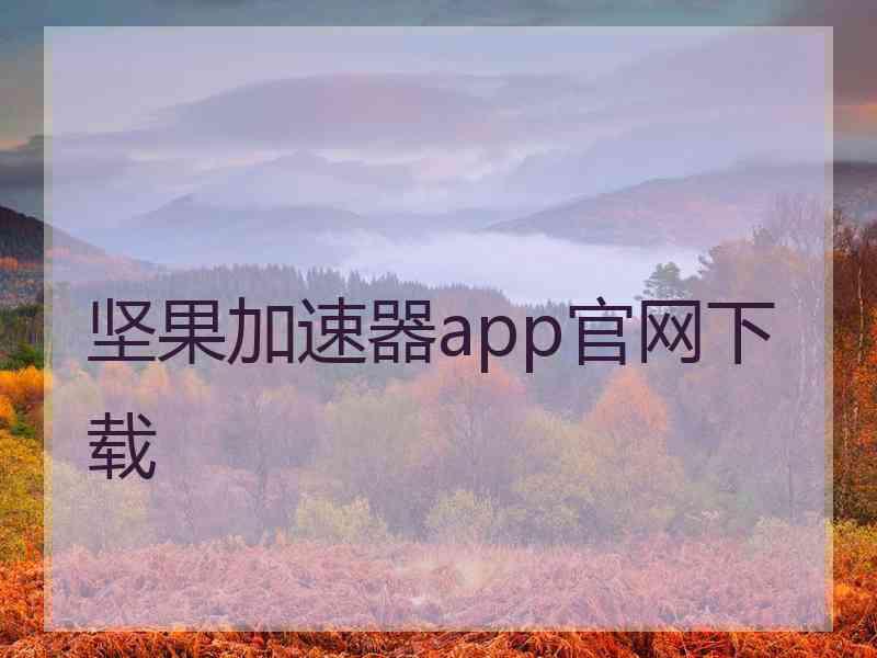 坚果加速器app官网下载