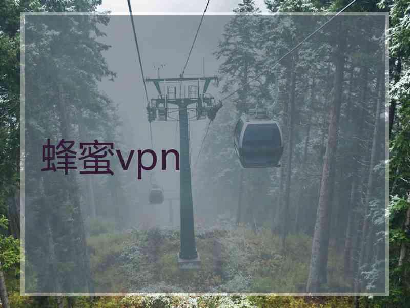 蜂蜜vpn