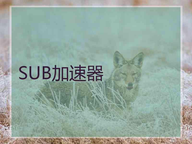 SUB加速器