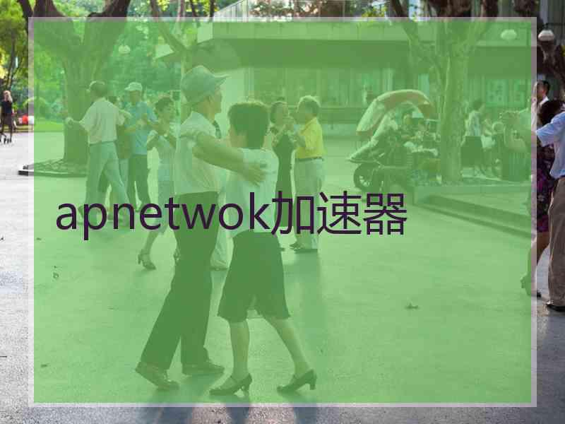 apnetwok加速器