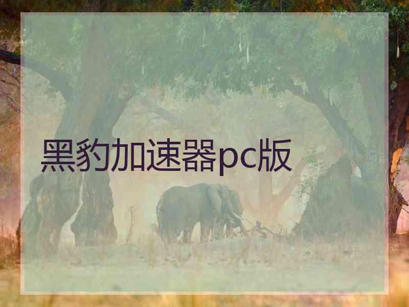 黑豹加速器pc版