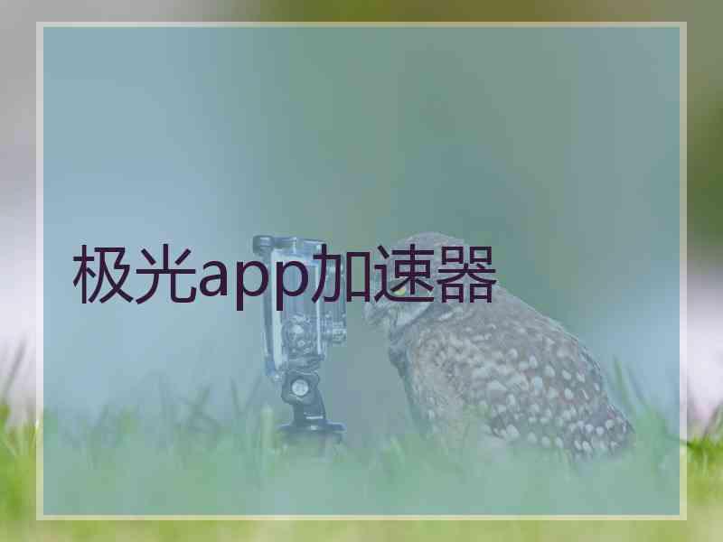 极光app加速器