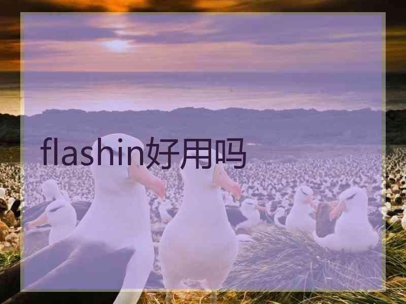 flashin好用吗