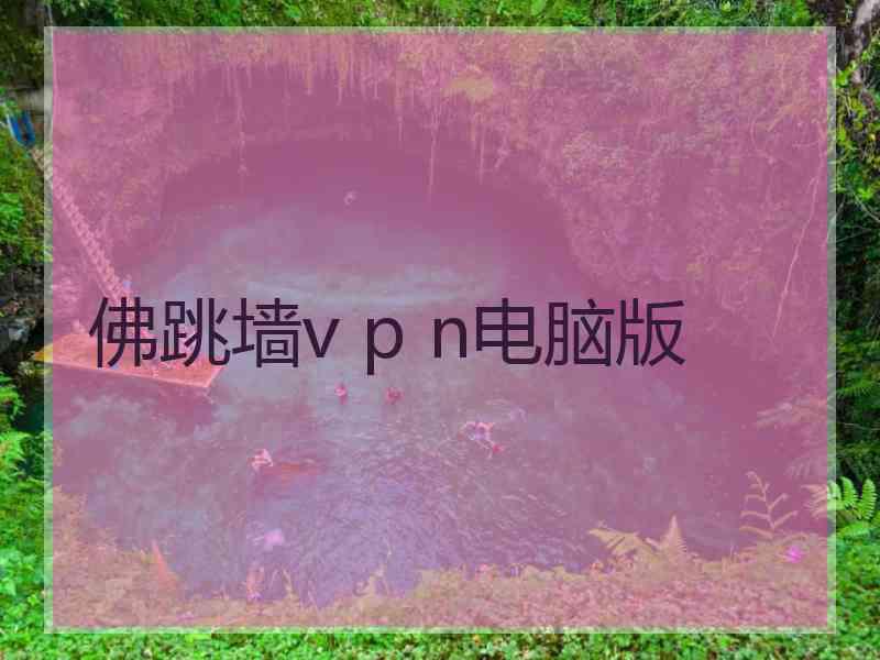 佛跳墙v p n电脑版