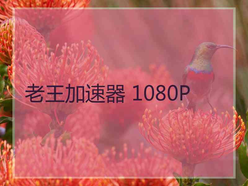 老王加速器 1080P