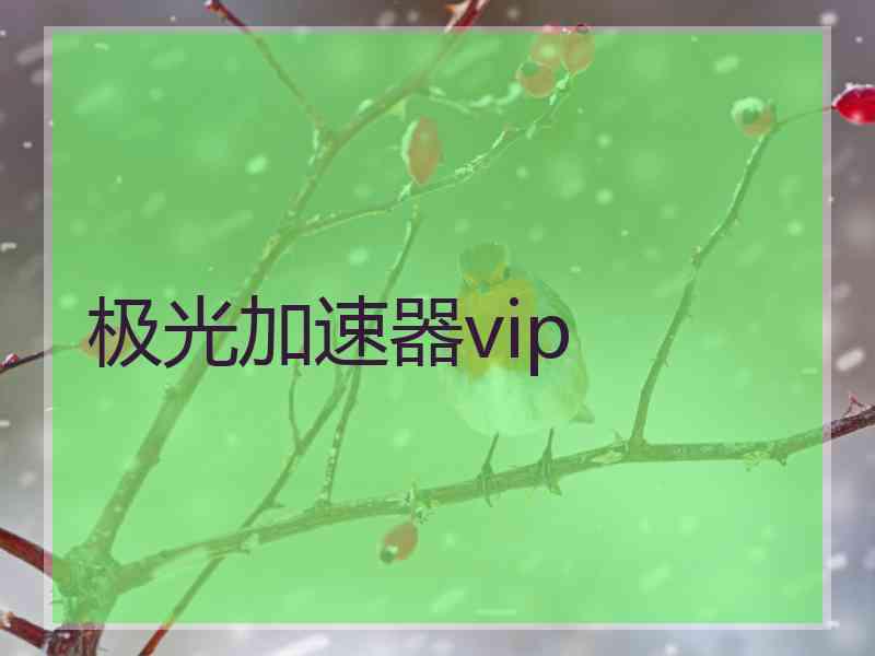 极光加速器vip