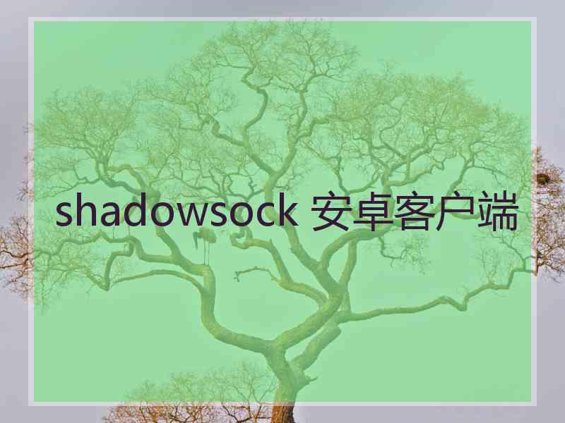 shadowsock 安卓客户端