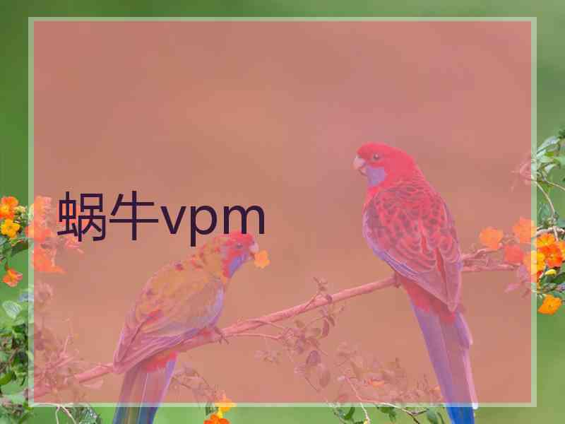 蜗牛vpm