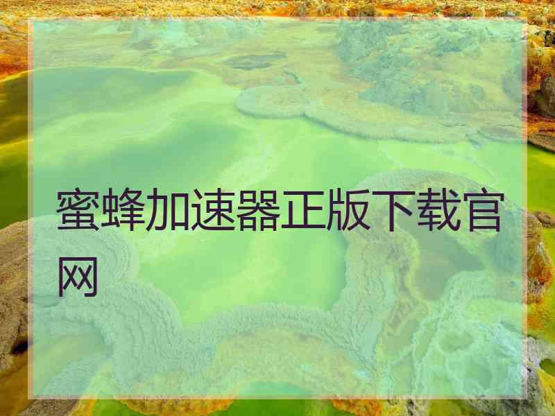 蜜蜂加速器正版下载官网