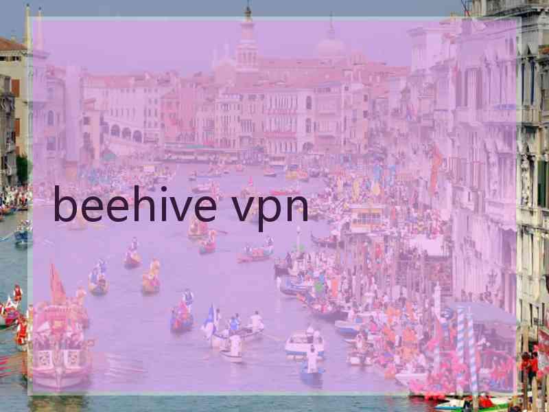 beehive vpn