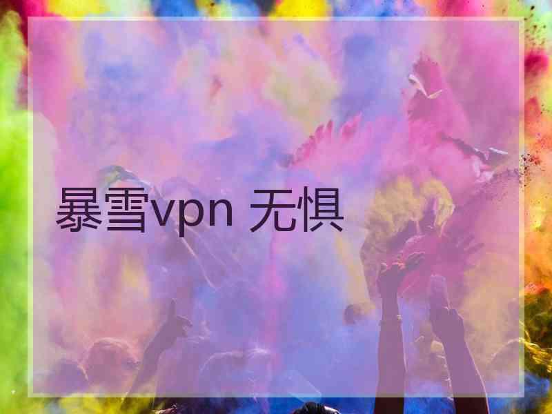 暴雪vpn 无惧