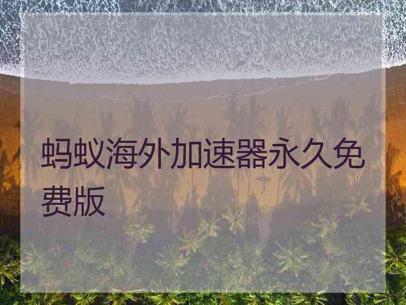 蚂蚁海外加速器永久免费版