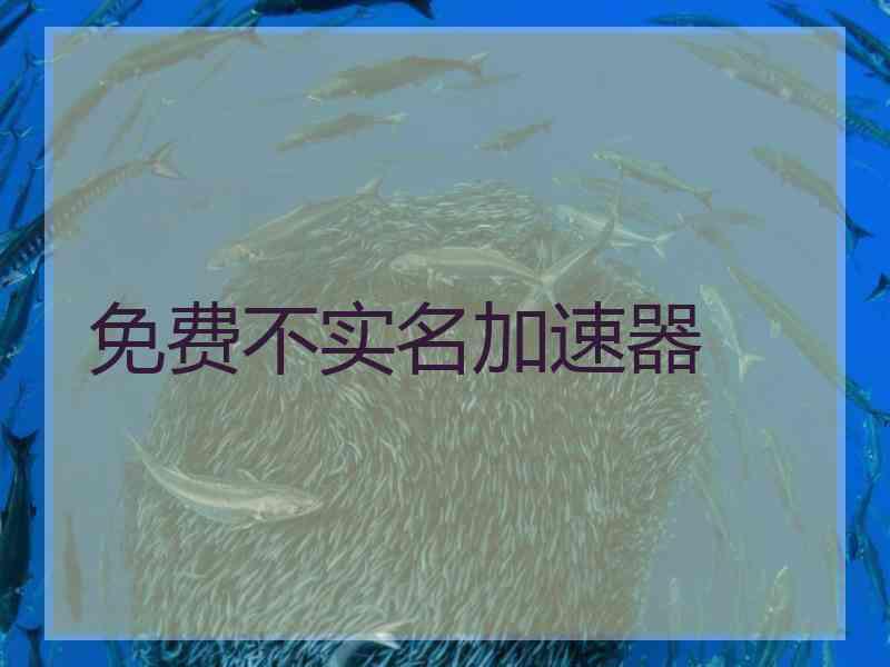 免费不实名加速器