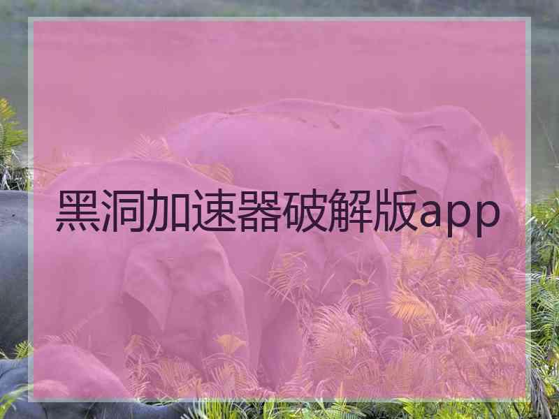 黑洞加速器破解版app