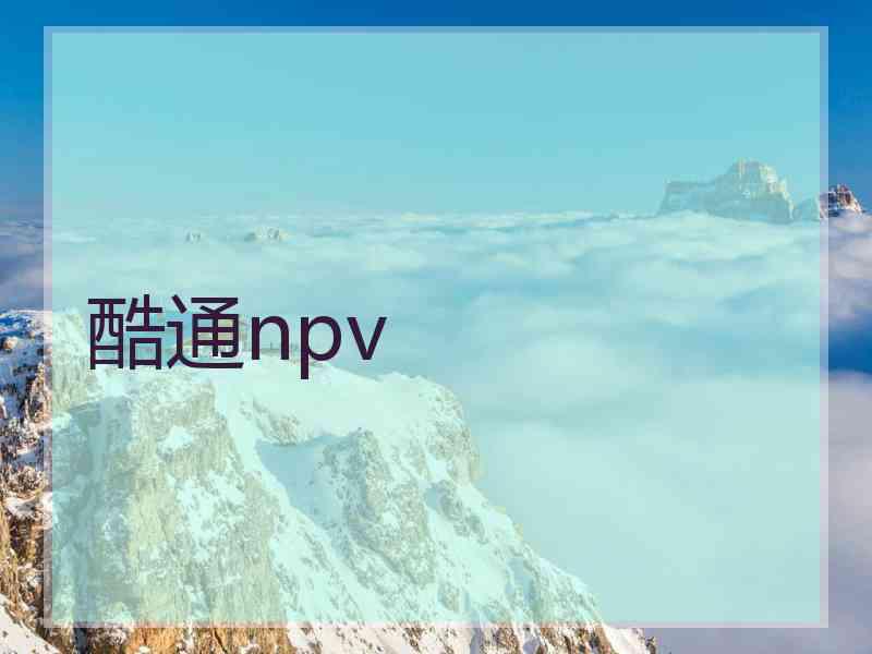 酷通npv